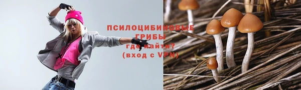 мяу мяу мука Баксан