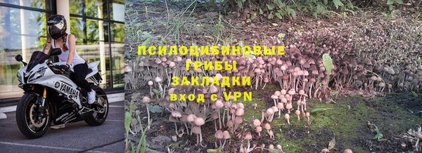 гидра Краснослободск