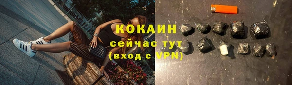 мяу мяу мука Баксан