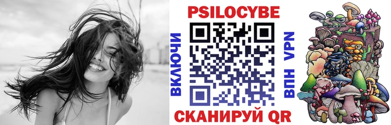 сколько стоит  Володарск  Псилоцибиновые грибы GOLDEN TEACHER 
